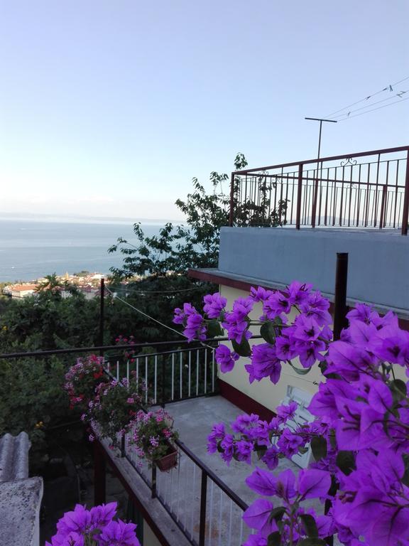 Apartment Bugenvilija 洛夫兰 外观 照片