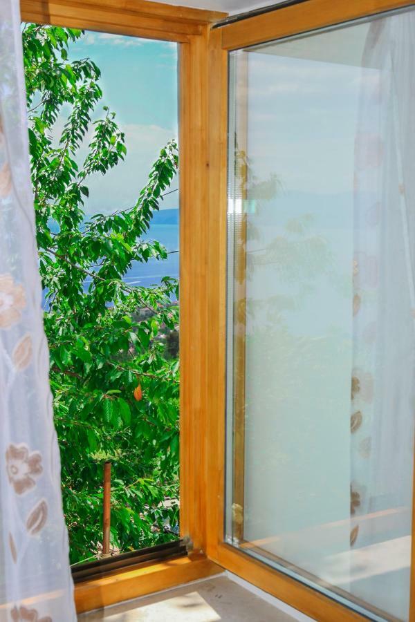 Apartment Bugenvilija 洛夫兰 外观 照片